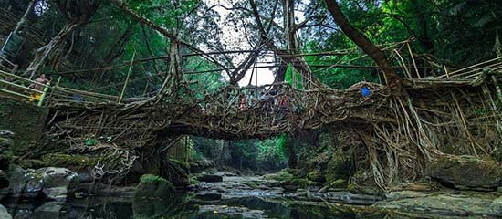 Best Assam & Meghalaya Tour Packages in Ahmedabad